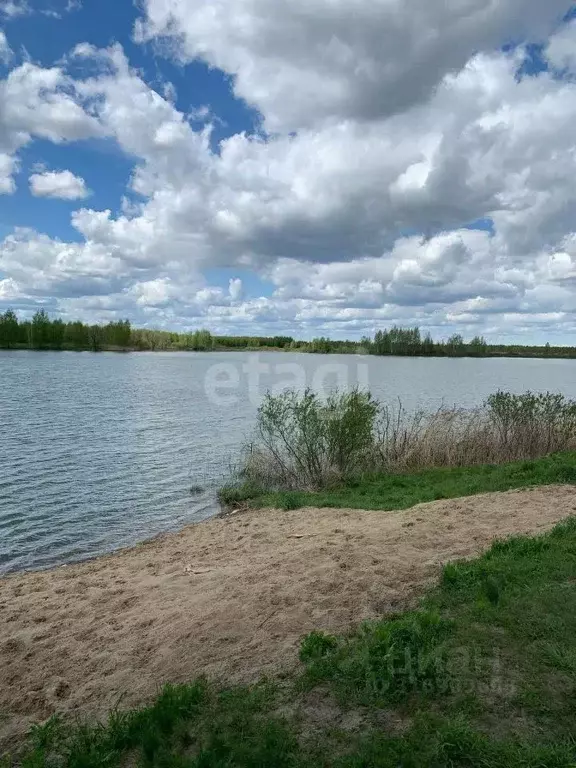 Участок в Ярославская область, Некрасовский муниципальный округ, ... - Фото 1