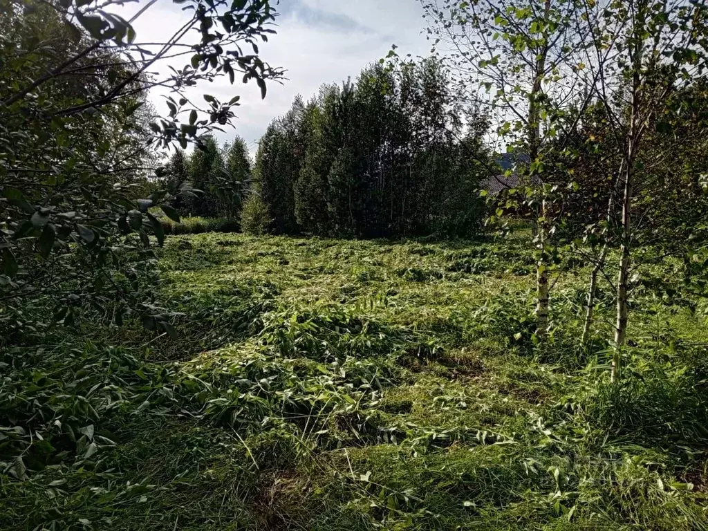 Участок в Алтай, Майминский район, Соузгинское с/пос, пос. Турбаза ... - Фото 2