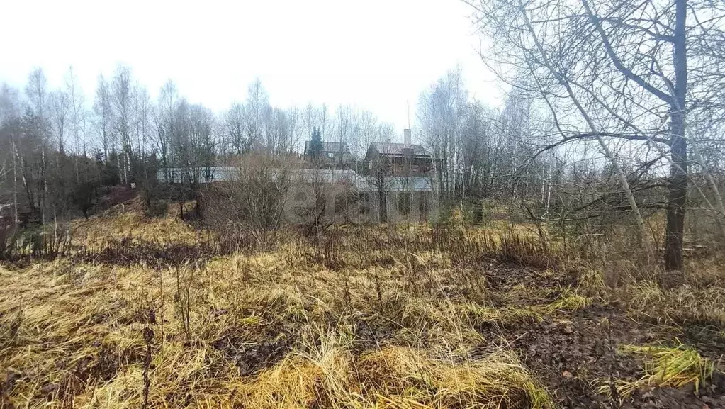 Участок в Московская область, Рузский муниципальный округ, д. ... - Фото 1