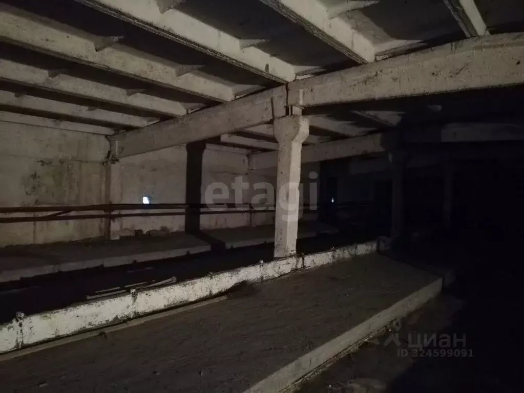 Склад в Новосибирская область, Ордынский район, пос. Чернаково ул. ... - Фото 1