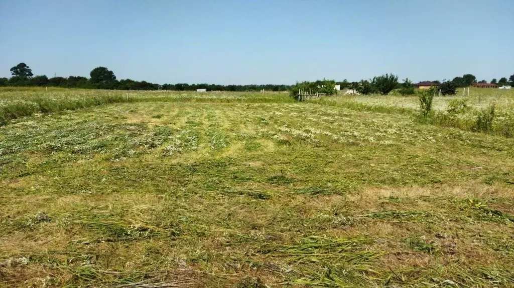 Участок в Краснодарский край, Краснодар пос. Пригородный, ул. Федора ... - Фото 1