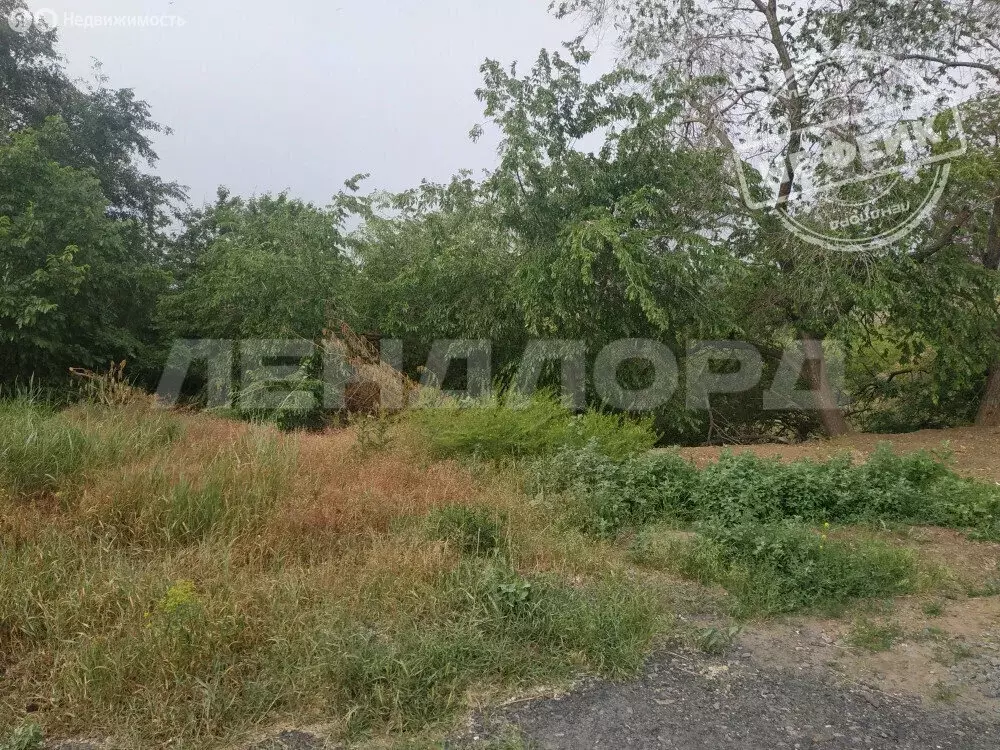 Участок в Новочеркасск, Айвовая улица, 13 (6 м) - Фото 1
