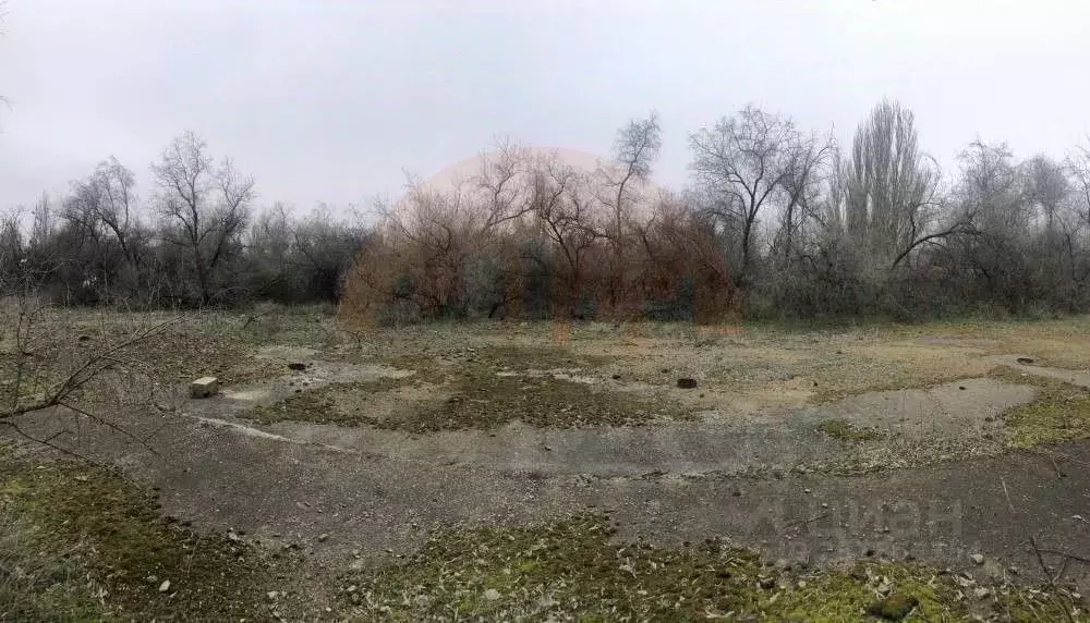 Участок в Крым, Саки ул. Морская (8.0 сот.) - Фото 0