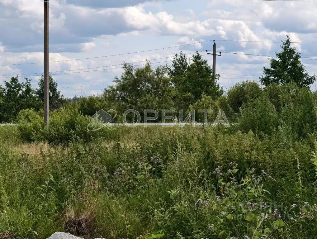 Участок в Тюменская область, Тюменский муниципальный округ, д. ... - Фото 2