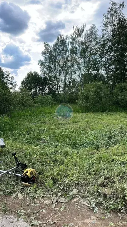 Участок в Московская область, Щелково городской округ, Поле Чудес 45 ... - Фото 2