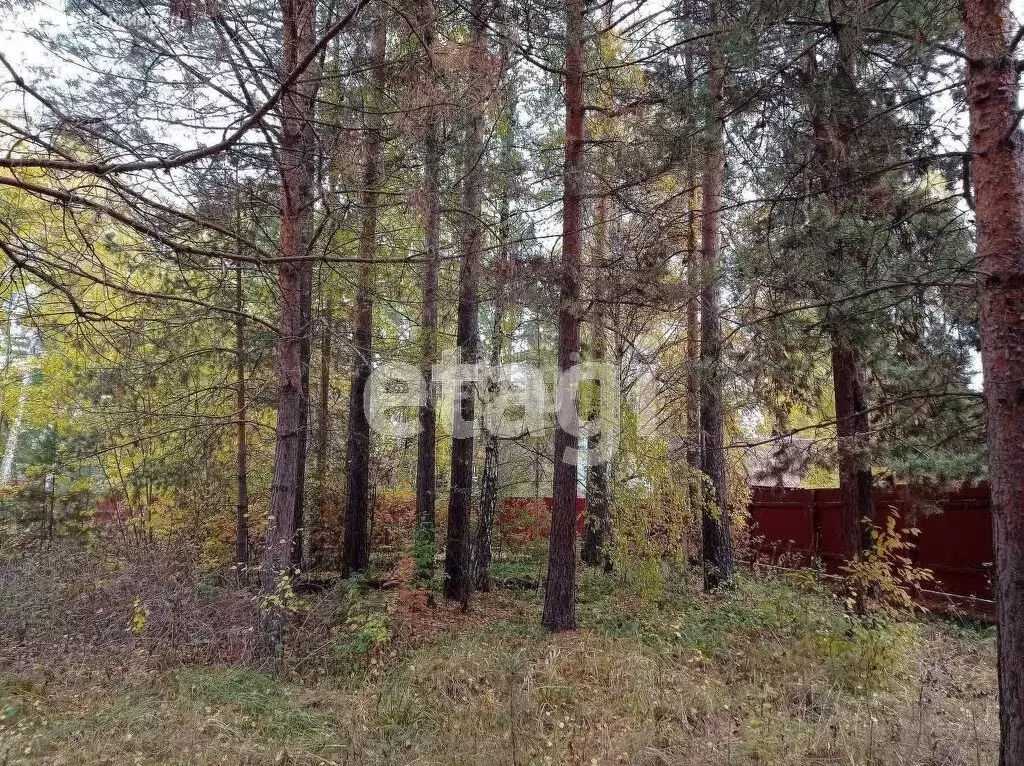 Дом в Нижнетавдинский район, садоводческое некоммерческое товарищество ... - Фото 0