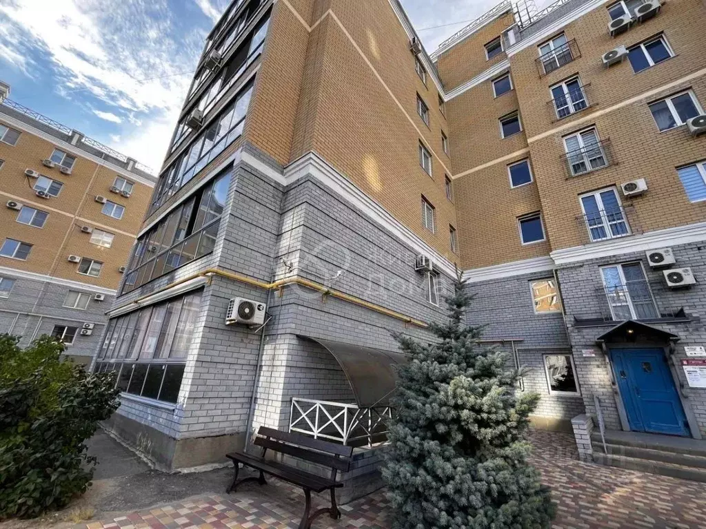 1-к кв. Волгоградская область, Волгоград Шекснинская ул., 64 (38.5 м) - Фото 1