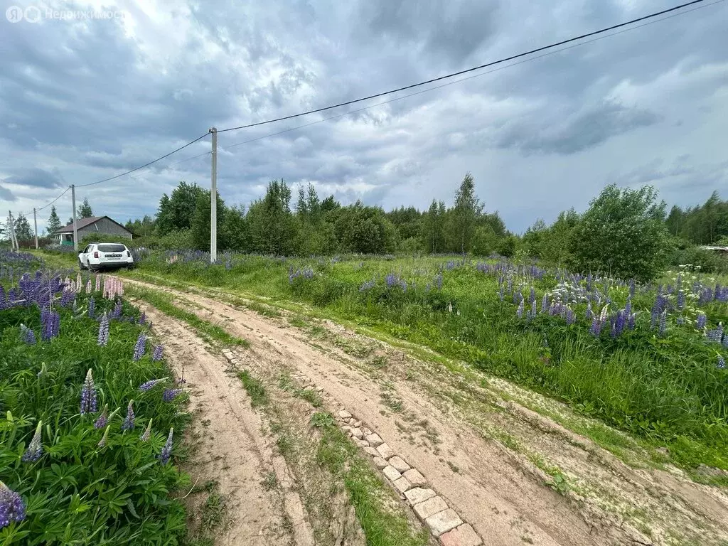 Участок в Александров, посёлок Совхоз Правда (3 м) - Фото 0