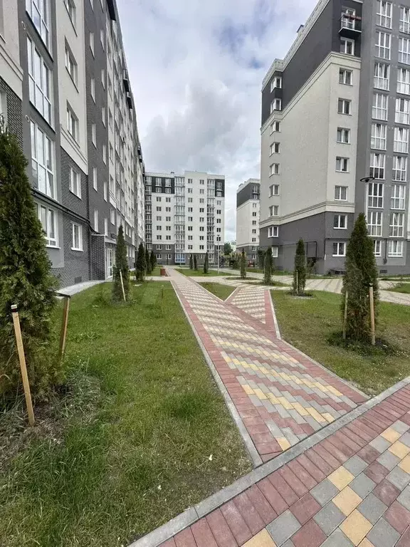 1-к. квартира, 30,2 м, 3/9 эт. - Фото 1