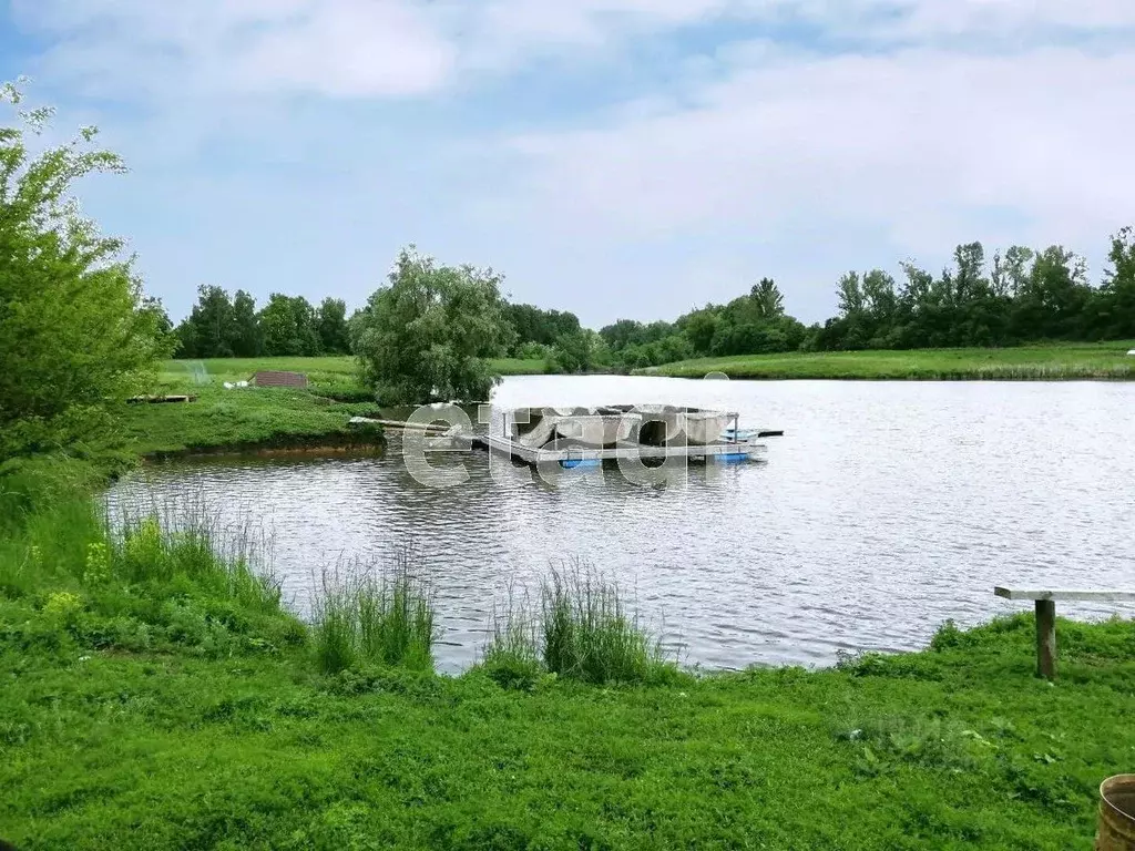 Участок в Белгородская область, Новооскольский муниципальный округ, с. ... - Фото 0