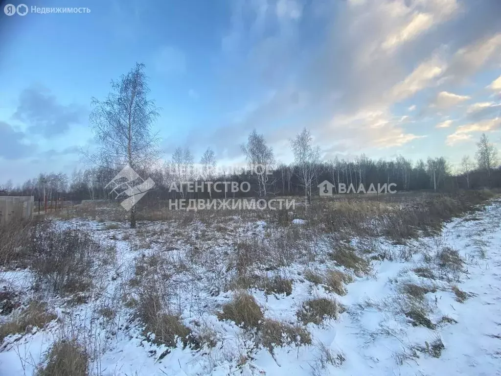 Участок в Рязанская область, Пронский муниципальный округ, деревня ... - Фото 1