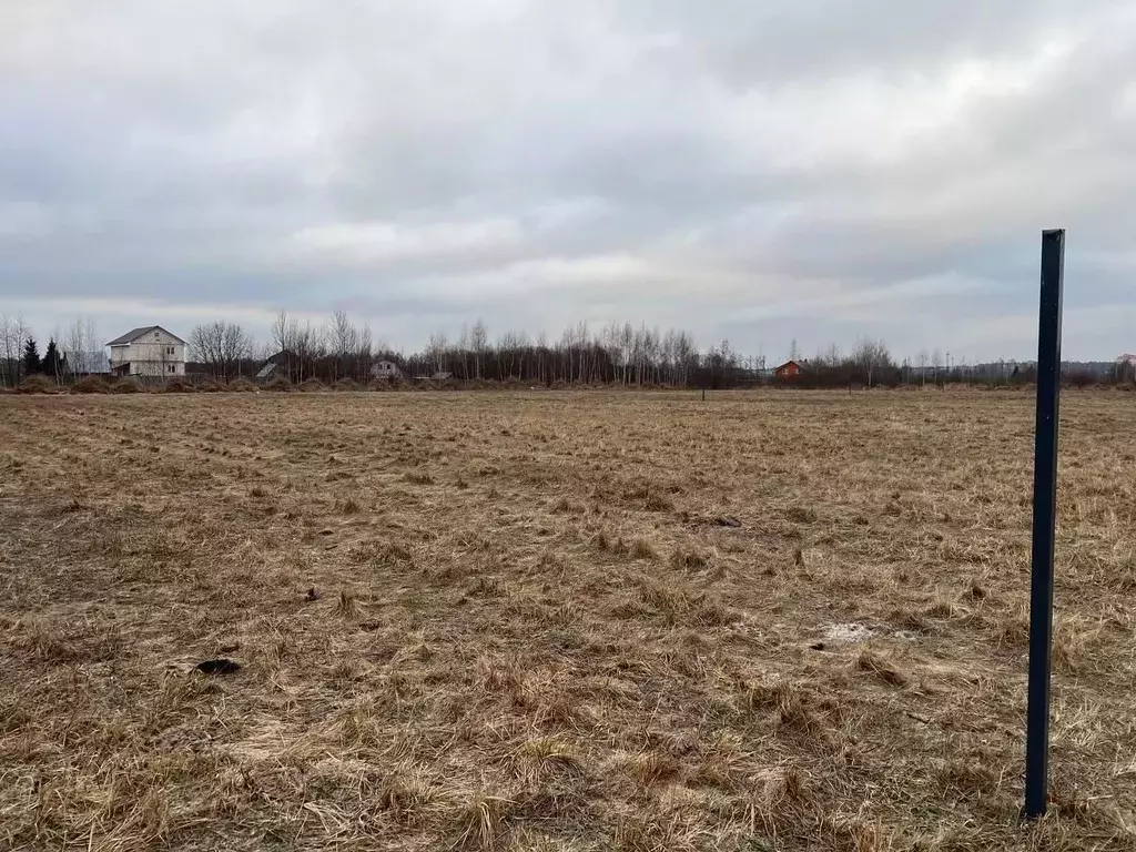 Участок в Московская область, Орехово-Зуевский городской округ, д. ... - Фото 1