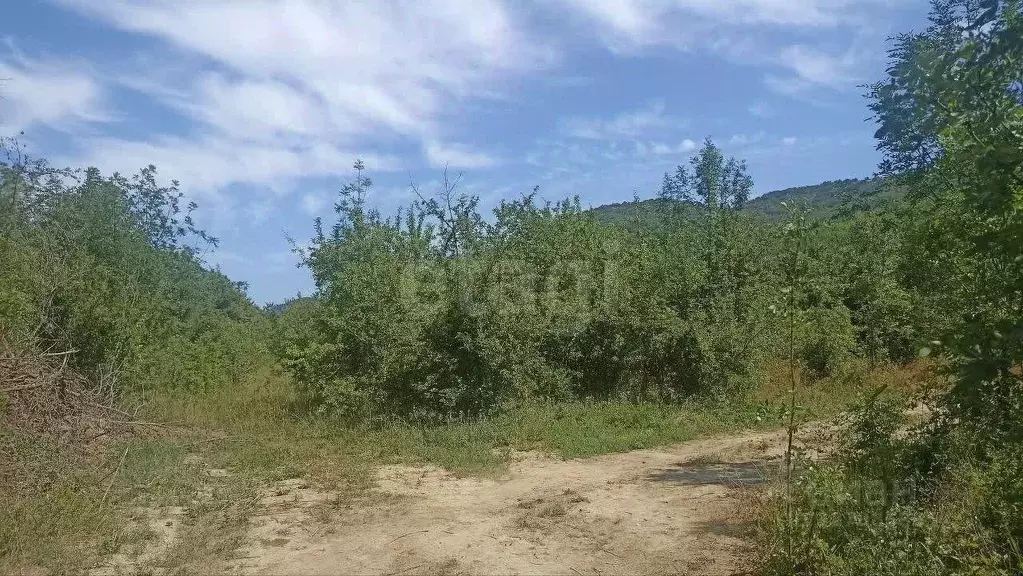 Участок в Крым, Судак муниципальный округ, с. Лесное ш. ... - Фото 1