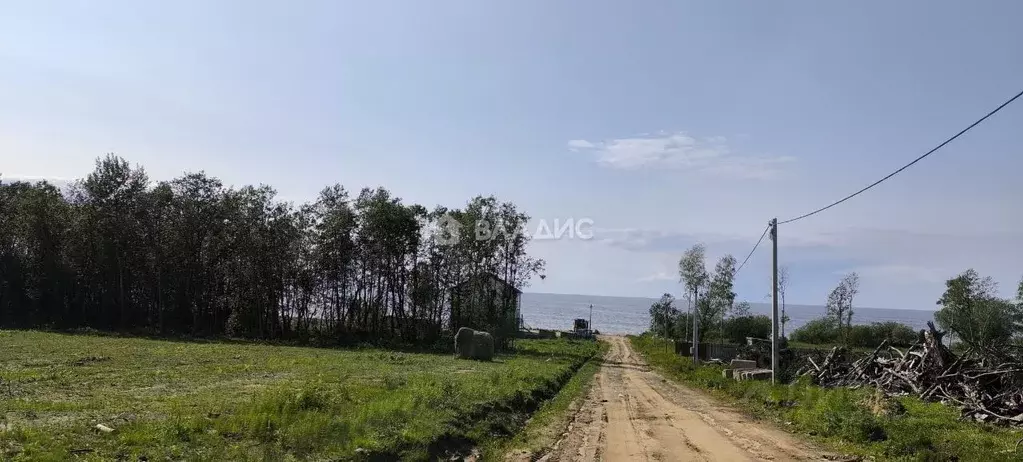 Участок в Ярославская область, Рыбинский муниципальный округ, д. ... - Фото 1