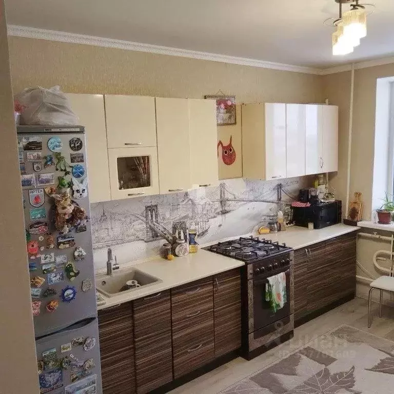 3-к кв. Белгородская область, Белгородский район, пос. Майский Зеленая ... - Фото 1