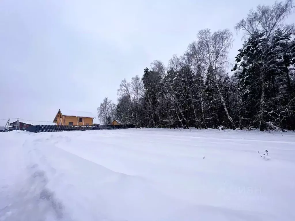 Участок в Московская область, Мытищи городской округ, д. Подольниха, ... - Фото 2
