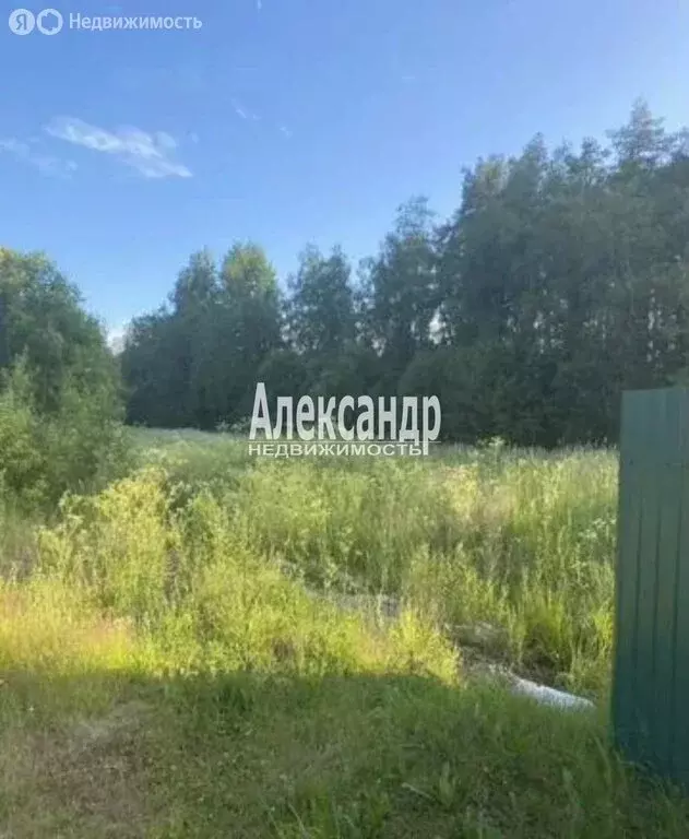 Участок в Приозерский район, Раздольевское сельское поселение, деревня ... - Фото 1