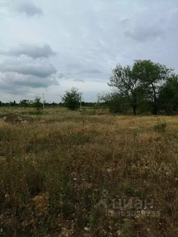 Участок в Саратовская область, Энгельс муниципальное образование, ... - Фото 1