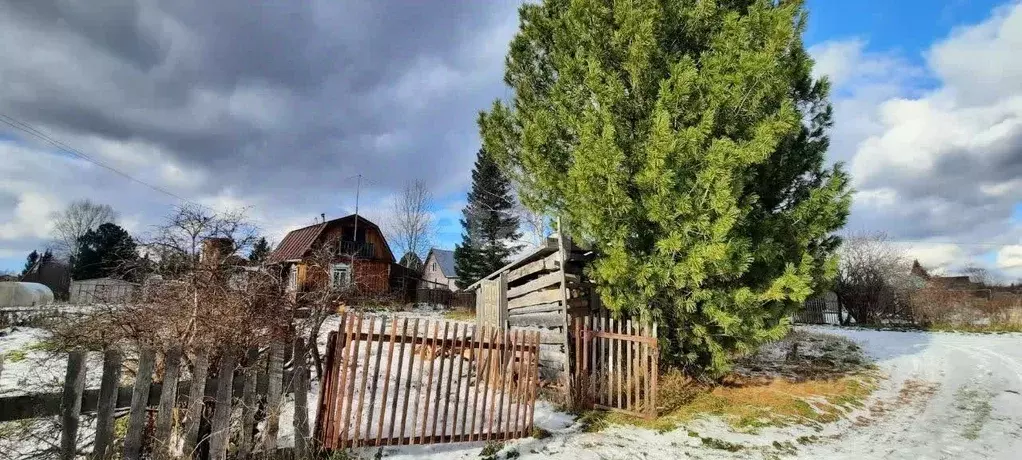 Дом в Томская область, Томский район, Таежное СТ 76 (25 м) - Фото 1