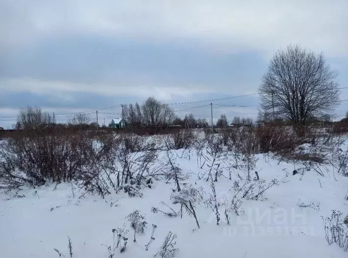 Участок в Московская область, Дмитровский муниципальный округ, д. ... - Фото 0