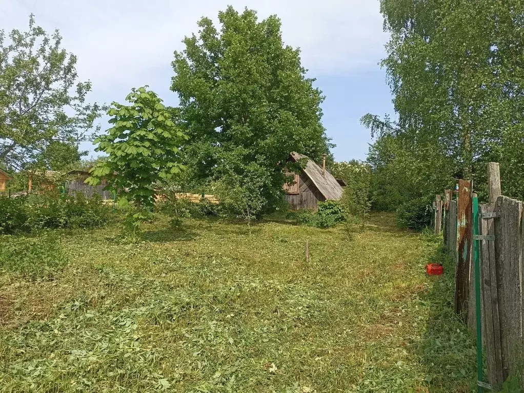 Участок в Тверская область, Вышневолоцкий муниципальный округ, д. ... - Фото 0