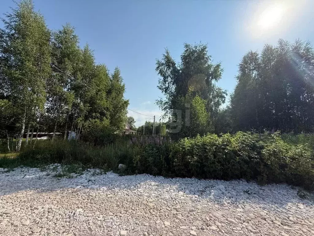 Участок в Костромская область, Кострома Журавлик садоводческое ... - Фото 1