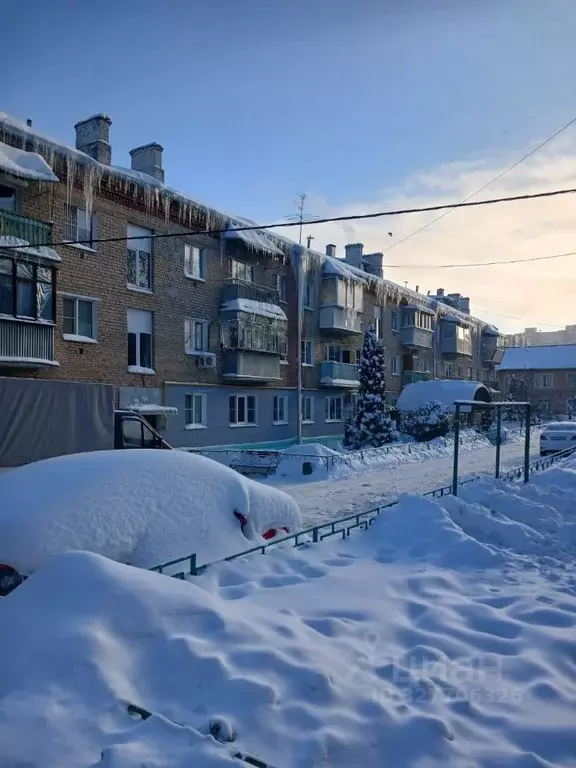 2-к кв. Московская область, Старая Купавна Богородский городской ... - Фото 2