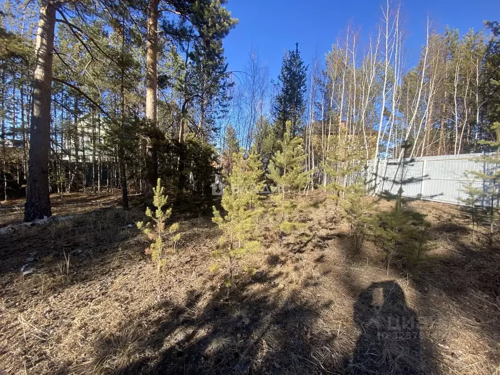 Участок в Забайкальский край, Читинский район, Титан ДНП 25 (12.61 ... - Фото 1