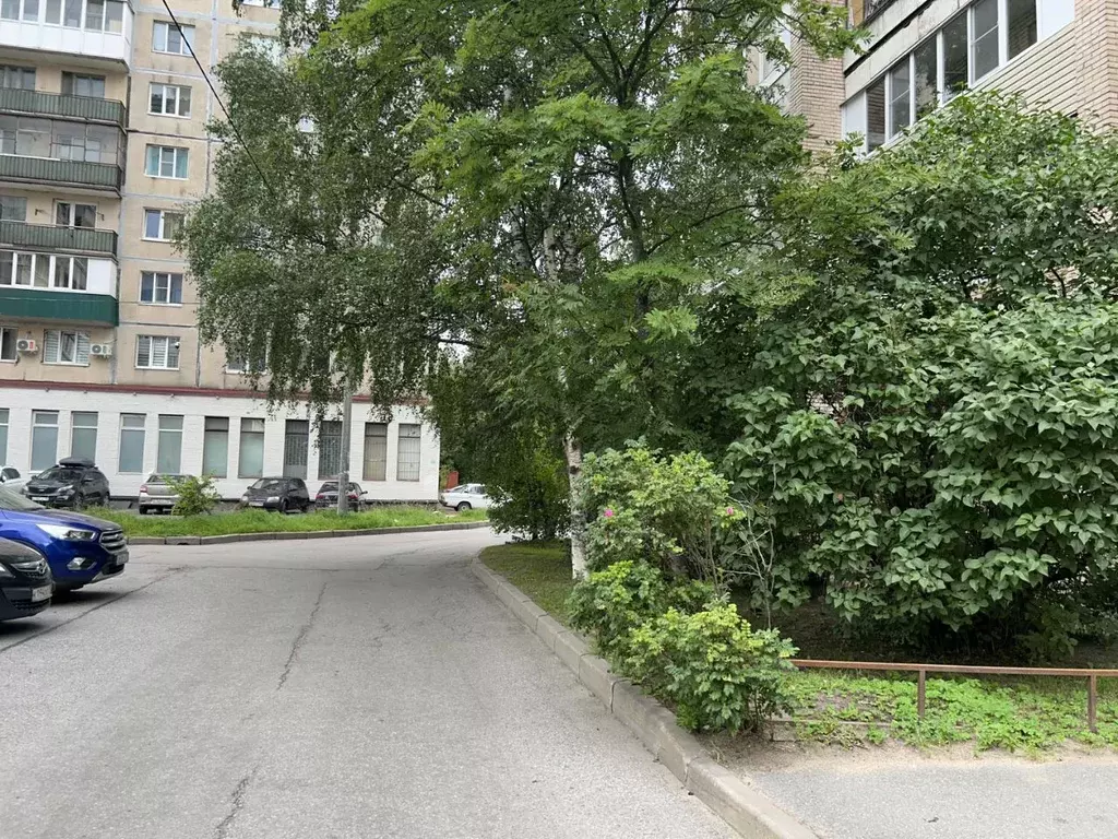 1-к кв. Санкт-Петербург просп. Культуры, 27 (31.0 м) - Фото 1