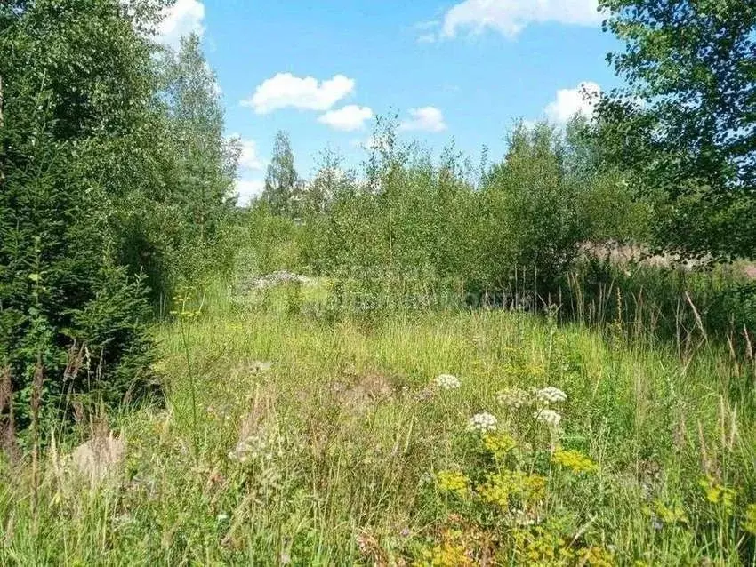 Участок в Новгородская область, Чудово Солнечная ул., 3 (15.0 сот.) - Фото 0