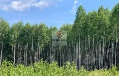Участок в Ярославская область, Переславль-Залесский муниципальный ... - Фото 2