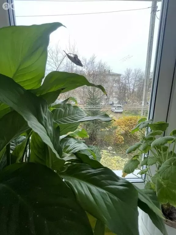 3-комнатная квартира: Дзержинск, бульвар Победы, 13А (55.5 м) - Фото 1