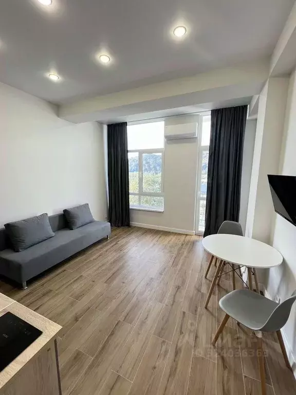 Студия Краснодарский край, Сочи Пластунская ул., 188 (24.0 м) - Фото 2