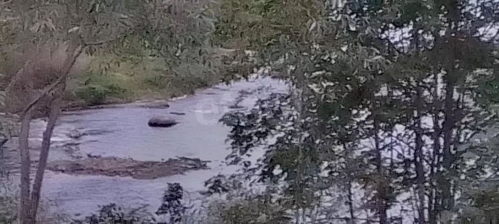 Участок в Псковская область, Порховский муниципальный округ, д. ... - Фото 1