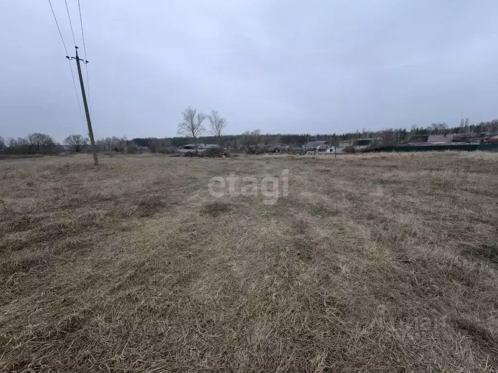 Участок в Воронежская область, с. Новая Усмань ул. Нахимовская, 77 ... - Фото 0