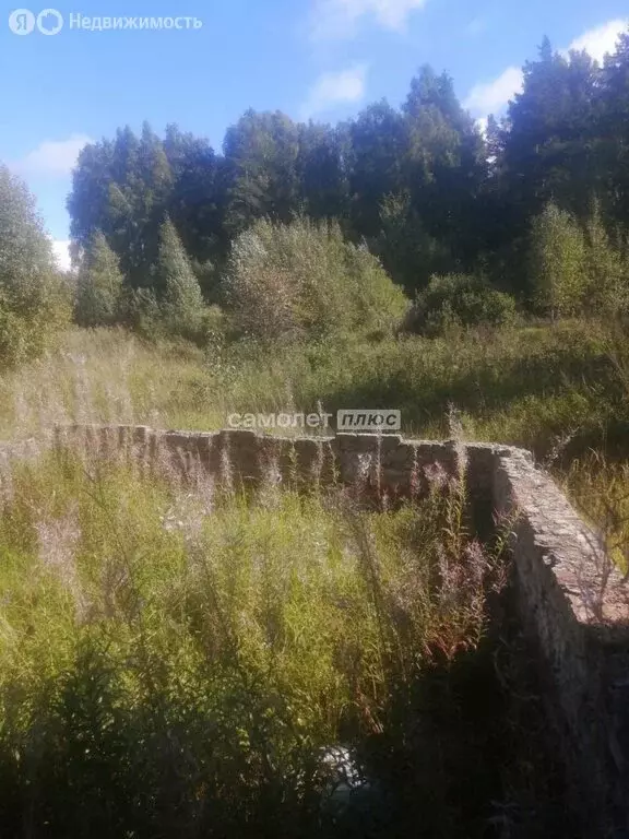 Участок в Владимирская область, Кольчугинский муниципальный округ, ... - Фото 1