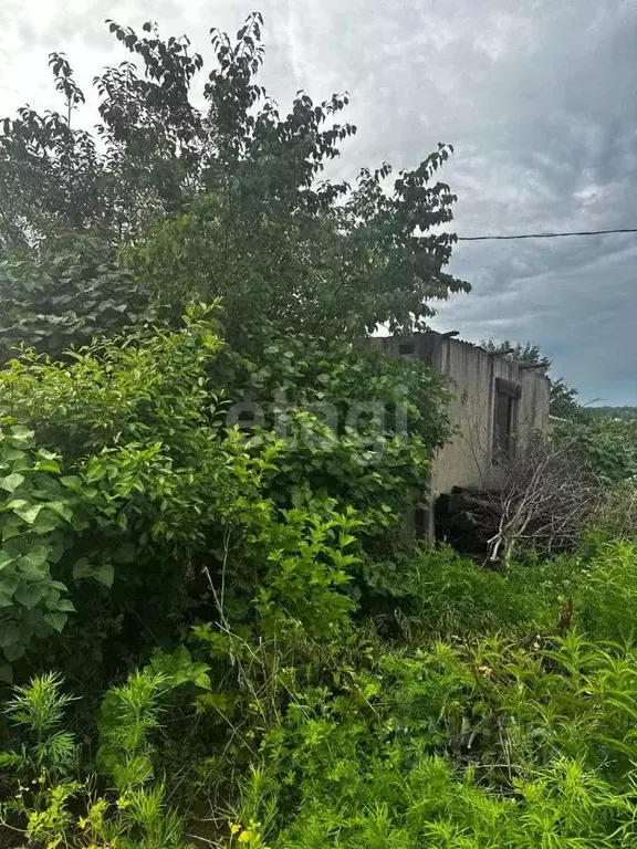 Участок в Амурская область, Благовещенск Мебельной Фабрики СТ,  (5.9 ... - Фото 0