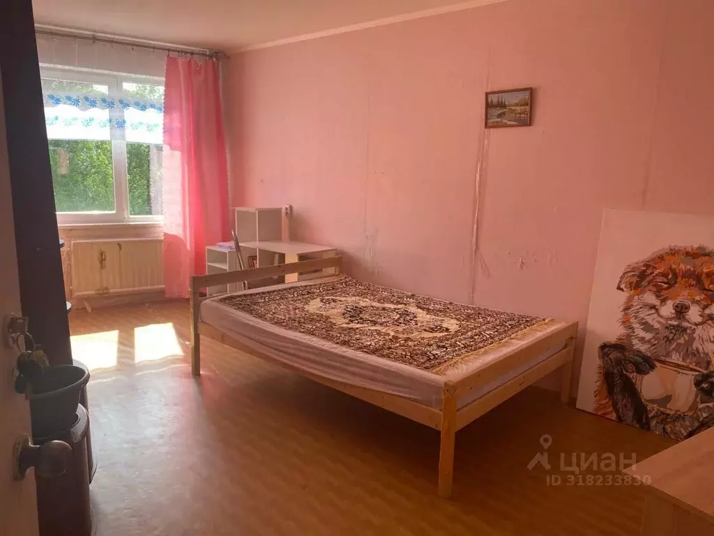 Комната Санкт-Петербург ул. Пионерстроя, 15К3 (18.0 м) - Фото 0