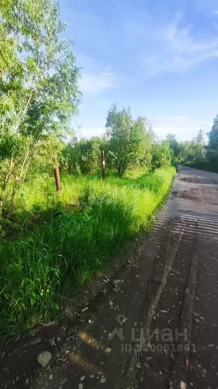 Участок в Коми, Усинск Коммунальник садово-огородное товарищество,  ... - Фото 0