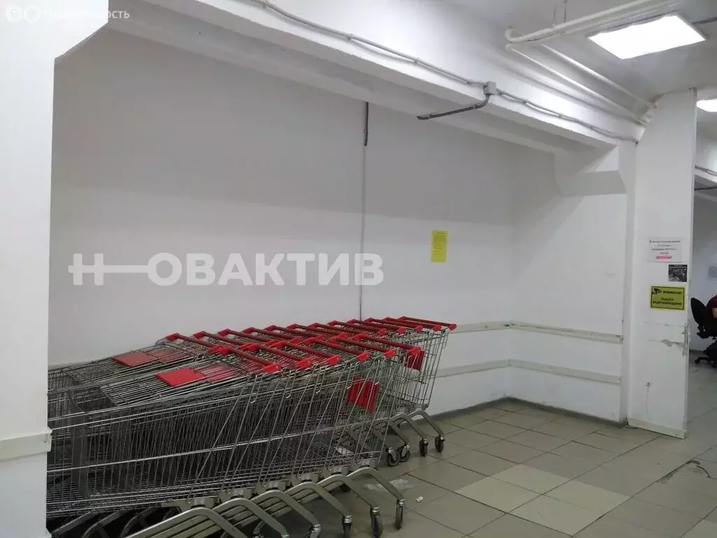 Помещение свободного назначения (20 м) - Фото 1