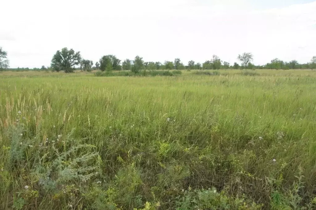 Участок в Самарская область, Тольятти Южное ш. (4500.0 сот.) - Фото 2