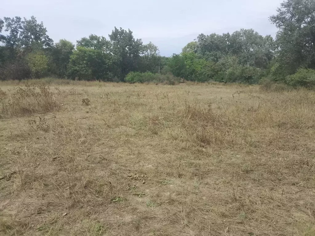 Участок в Кабардино-Балкария, Майский ул. Гагарина (16.0 сот.) - Фото 2