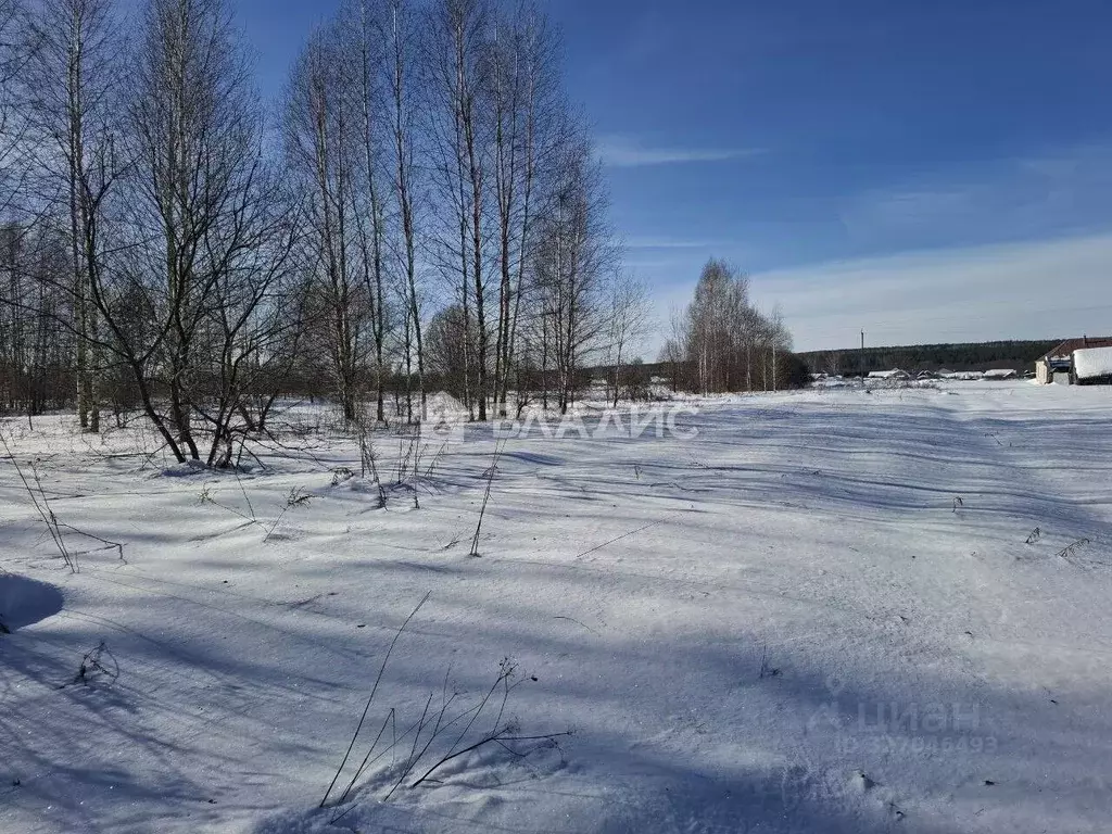 Участок в Пензенская область, Бессоновский район, с. Сосновка  (19.5 ... - Фото 1