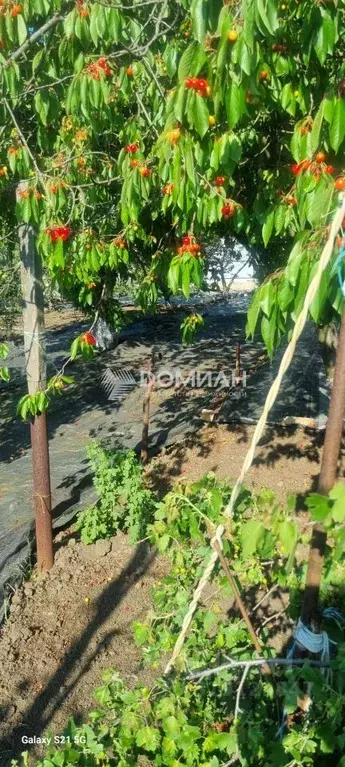 Участок в Ростовская область, Новочеркасск Троицкая пл. (6.0 сот.) - Фото 1