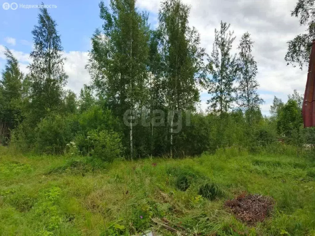 Участок в Кусинское сельское поселение, садоводческий массив ... - Фото 1
