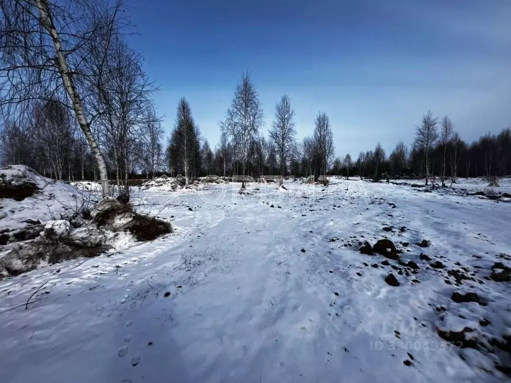Участок в Тюменская область, Тюмень Яровское садовое товарищество, ул. ... - Фото 1