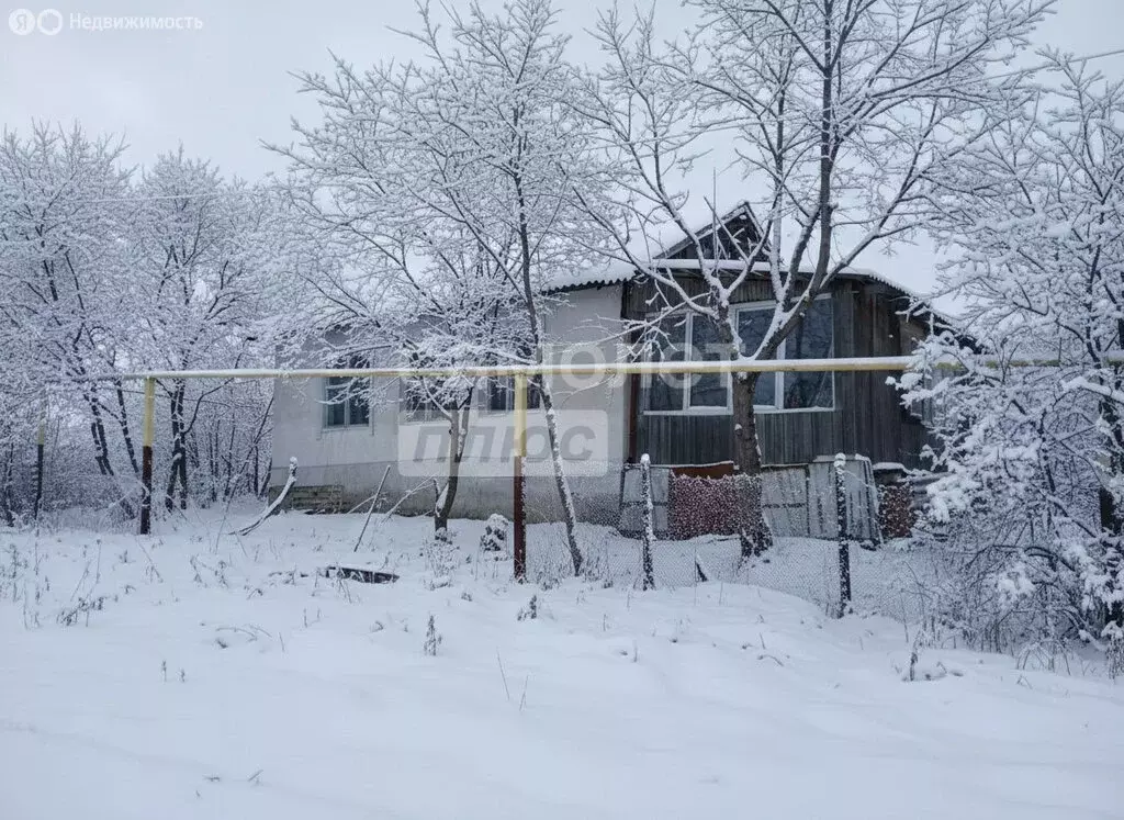 Дом в село Гремячье, улица Чкалова, 27 (52 м) - Фото 1