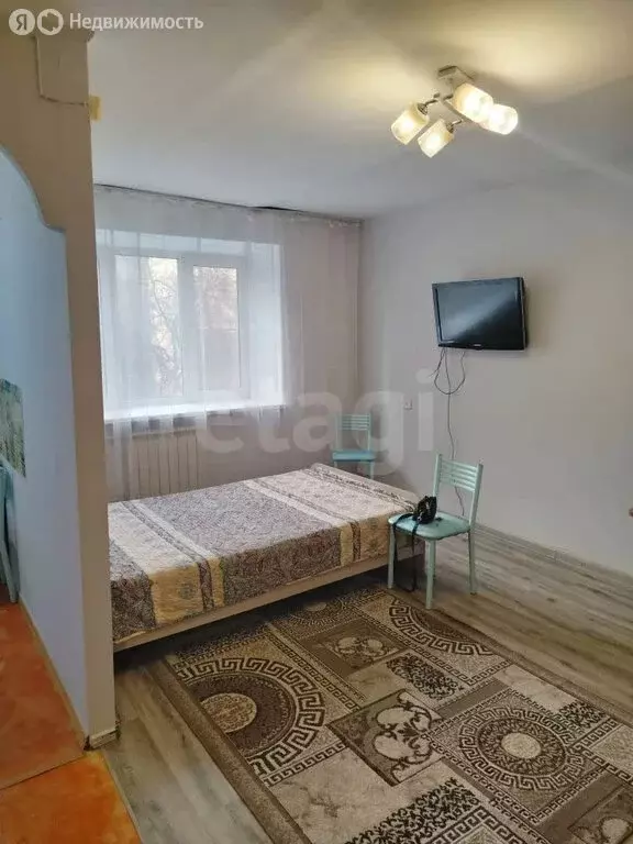 1-комнатная квартира: Иркутск, Байкальская улица, 202А (30 м) - Фото 2