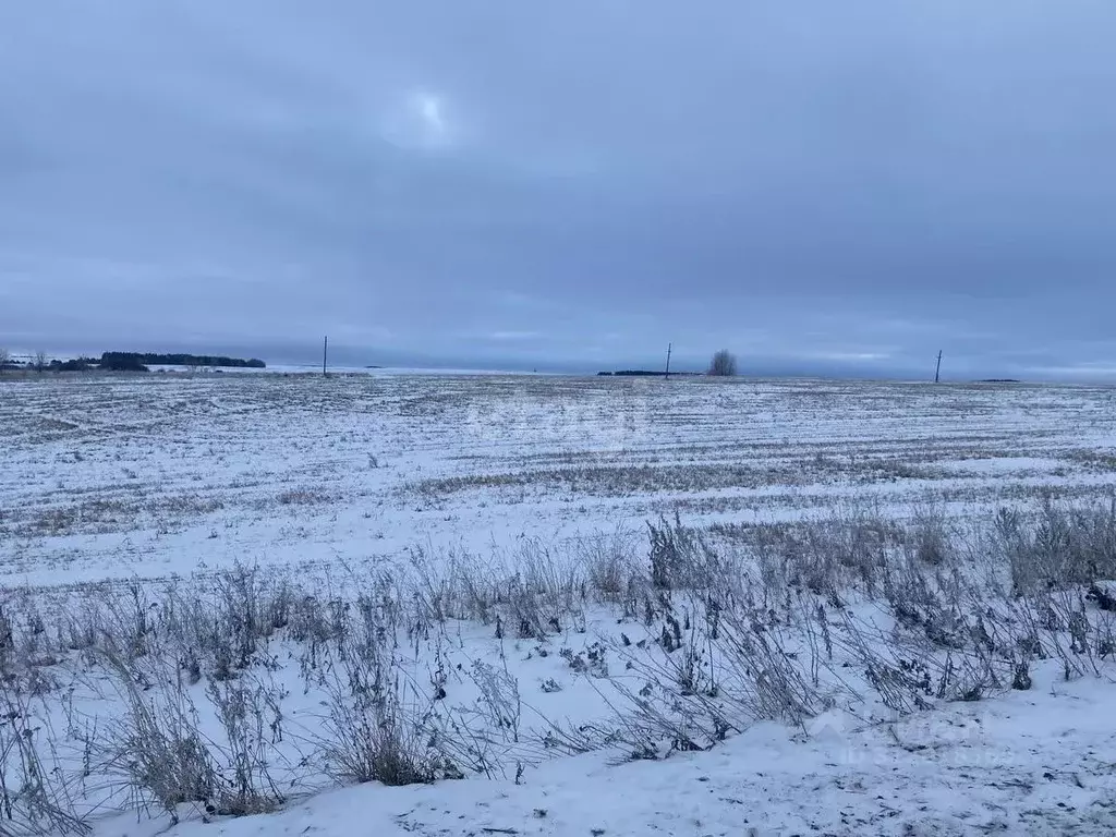 Участок в Нижегородская область, Дальнеконстантиновский муниципальный ... - Фото 0