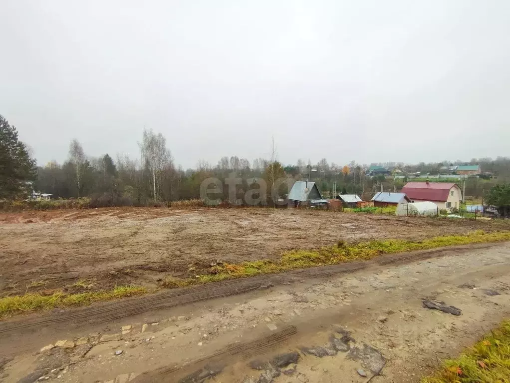 Участок в Костромская область, Красносельский район, Боровиковское ... - Фото 1